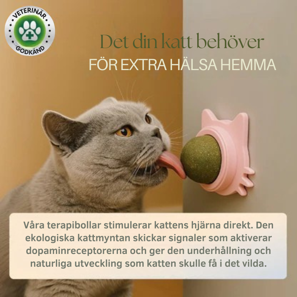 MjaoMint™ För din katts bästa välmående