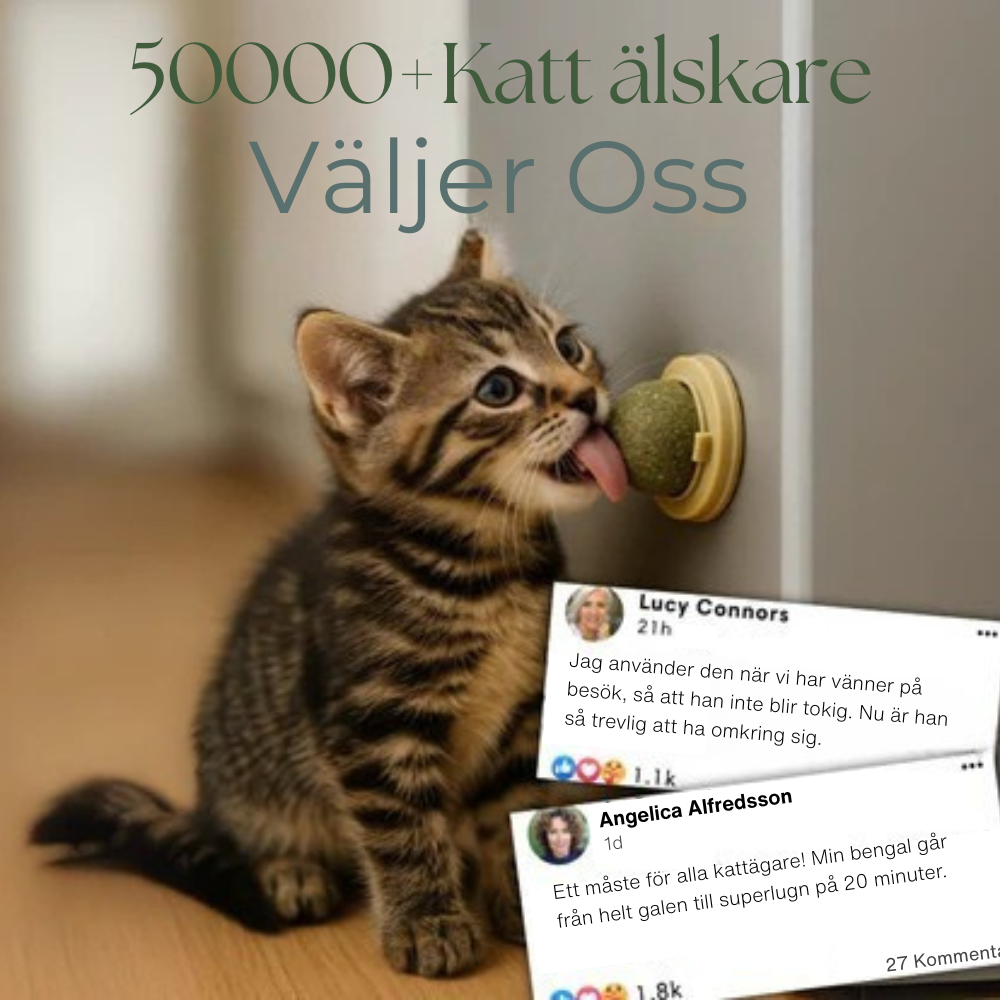 MjaoMint™ För din katts bästa välmående